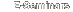 E-Seminars